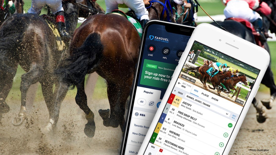 possibilities to shine in the best online steed betting